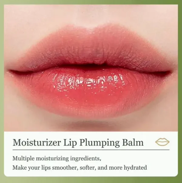Avocado-based Lip Balm, Hydration for Dry Crack Lips