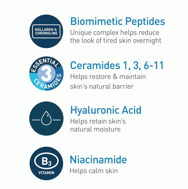 Ceramides Night Moisturizer with Peptide & Hyaluronic Compound | 1.7 Ounce